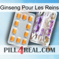 Ginseng For Kidney new12